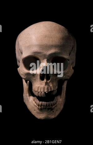 Vorderansicht des menschlichen Schädels mit geöffnetem Mund, isoliert auf schwarzem Grund. Stockfoto