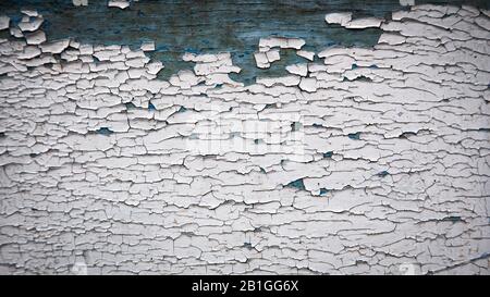 Bemalte weiße alte Wandstruktur aus Holz, rustikaler Hintergrund. Stockfoto