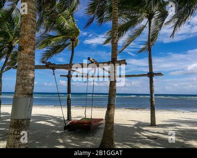 Ein hängendes Bett, das in einem Palmenwald hängt, lädt ein, sich im Schatten der brennenden Sonne auf Bohol zu entspannen Stockfoto