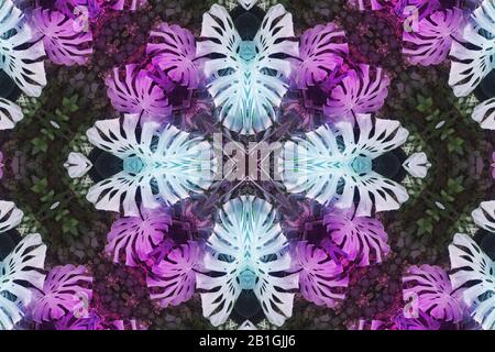 Verschwommene Symmetrie Blumen, Mandala, Kaleidoskop und Design Muster abstrakter Hintergrund Stockfoto