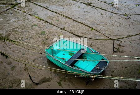 Lokale Boote auf der sandigen Intertidalzone bei Ebbe in Legis Ryme, südengland Stockfoto