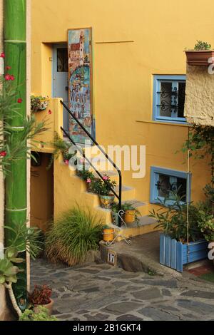 Collioure, Frankreich, Liegt an einer gepflasterten Straße in der mediterranen Küstenstadt, einem pastellgelben Haus mit Topfpflanzen Stockfoto