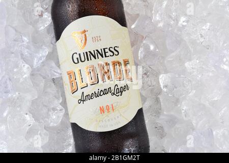 Irvine, CA - 12. JANUAR 2015: Eine Flasche Guinness Blonde American Lager auf einem Eisbett. Guinness produziert seit 1759 Bier in Irland. Stockfoto