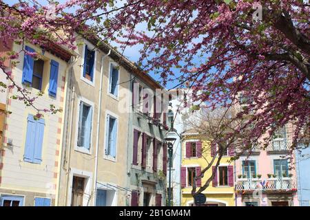 Leucate, Frankreich, ein Dorf im Aude Department in der Nähe der Mittelmeerküste, Südfrankreich, mit farbenfrohen Gebäuden Stockfoto