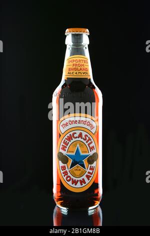 Irvine, CA - 15. JANUAR 2015: Eine Flasche Newcastle Brown Ale. Das Unternehmen wurde im Jahr 1927 von Colonel Jim Porter nach der Fusion der Newcastle Breweries mit Sc ins Leben gerufen Stockfoto