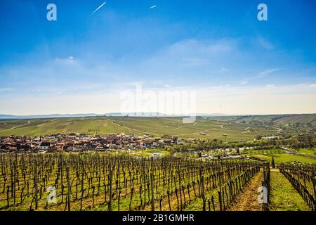 Blick über das idyllische Maintal, die Weinberge, die Mainschleife bei der Stadt Volkach, deutschland Stockfoto