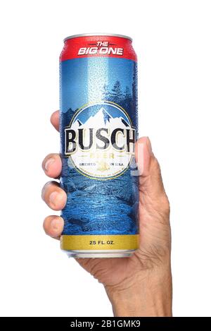 Irvine, KALIFORNIEN - 26. APRIL 2019: Nahaufnahme einer Hand, die eine 25-Unzen-King-Dose Buschbier hält. Eine Sparmarke Pale Lager, die 1955 als Bu eingeführt wurde Stockfoto