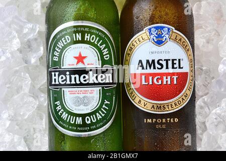 Irvine, CA - 12. JANUAR 2015: Eine Flasche Amstel Light und Heineken Beer. Seit 1975 wird das meiste Heineken-Bier in der Brauerei in Zoeterwou gebraut Stockfoto