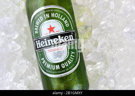 Irvine, CA - 12. JANUAR 2015: Eine Flasche Heineken Bier auf Eis. Seit 1975 wird das meiste Heineken-Bier in der Brauerei in Zoeterwoude, N gebraut Stockfoto