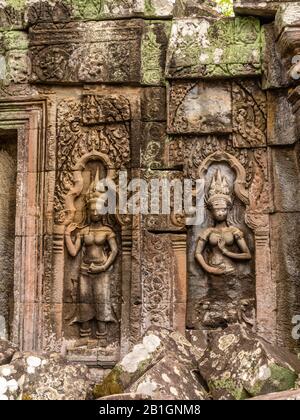 Bild des Ta Prohm Tempels, des photogenen Tempels im Archäologischen Park Angkor Wat, Siem Reap, Kambodscha. Stockfoto