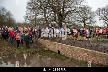 Nottingham - ENGLAND - 22. FEBRUAR: Zuschauer beobachten das Senioren-Rennen der Herren bei den English National Cross Country Championats, Wollaton Park, Nottingh Stockfoto