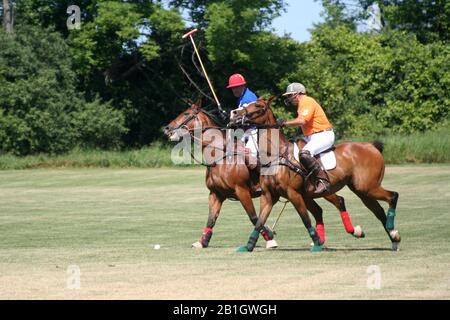 Polo-Match in Port Hope Ontario Stockfoto