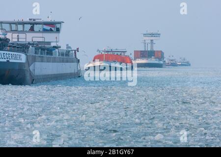 Eisbrecher zerkleinerten das Eis auf dem IJsselmeer für die Schifffahrt, Niederlande, Ijsselmeer Stockfoto