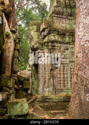 Bild des Ta Prohm Tempels, des photogenen Tempels im Archäologischen Park Angkor Wat, Siem Reap, Kambodscha. Stockfoto