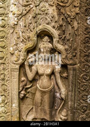 Bild des Ta Prohm Tempels, des photogenen Tempels im Archäologischen Park Angkor Wat, Siem Reap, Kambodscha. Stockfoto