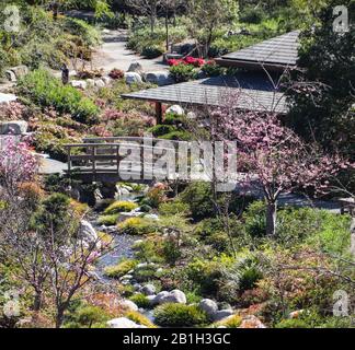 San Diego, CA 2/24/2020 Der japanische Freundschaftsgarten im Balboa Park Stockfoto