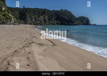 Fußabdrücke in Sand am Onemana Beach, Coromandel Peninsula, Neuseeland Stockfoto