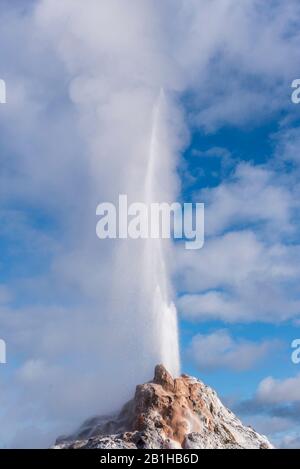 Hochdruck-Warmwasser, das aus einem erupierenden Geysir ausschießt. Stockfoto