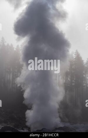 Dampf und heißes Wasser schießt in den nebligen Himmel von ausbrechenden Geysir. Stockfoto