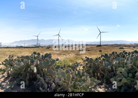 Windkraftanlagen, die Strom auf dem Meer in Mui Dinh, Thuận im Distrikt Nam, in der Provinz Ninh Thuan, Vietnam - 09. Januar 2020 erzeugen: Seascape mit Turbin Stockfoto