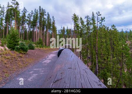 Blick auf Holzschiene neben Wanderweg mit grünen Bäumen auf beiden Seiten unter bewölktem Himmel. Stockfoto