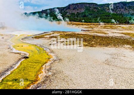 Heißes Wasser, das vom Geysir und der heißen Quelle mit den Bergen und dem grünen Wald dahinter abfliessen kann. Stockfoto