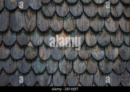 Oberfläche aus verwitterten Vintage-Holzschindeln mit Schälchen und Überresten alter blauer Farbe. Abstarct schäbiger rustikaler Holzhintergrund mit Kopierraum Stockfoto