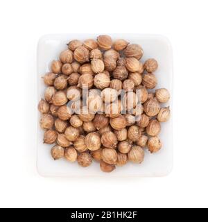 Coriander Seeds (Coriandrum sativum) in einer weißen Schüssel auf weißem Grund. Auch Cilantro oder Dhania oder Malli genannt. Stockfoto