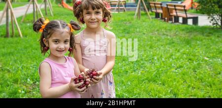 Kinder essen Kirschen im Sommer. Selektive konzentrieren. Stockfoto