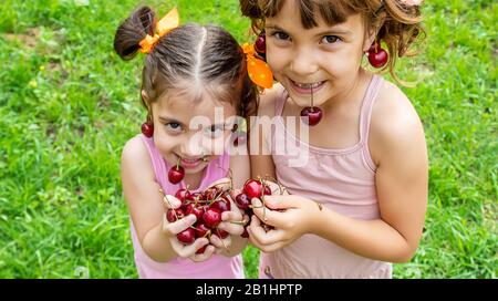 Kinder essen Kirschen im Sommer. Selektive konzentrieren. Stockfoto