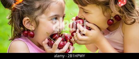 Kinder essen Kirschen im Sommer. Selektive konzentrieren. Stockfoto