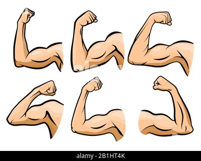 Muskel der Cartoon-Hand. Starke Arm-, Boxerarmmuskeln und Krafthände harte Gymnastikvektor-Illustration Set Stock Vektor