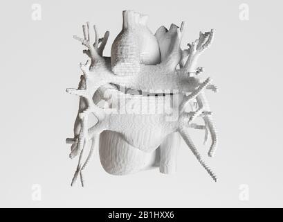 Bioprint des Herzens, 3D-Druck des Herzens, Konzept der Zukunft in der Medizin - 3D-Rendering Stockfoto