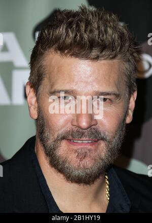 Hollywood, Vereinigte Staaten. Februar 2020. Hollywood, LOS ANGELES, KALIFORNIEN, USA - 25. FEBRUAR: Schauspieler David Boreanaz kommt am 25. Februar 2020 in der Los Angeles Premiere Des 'SEAL Team' der CBS Television Studios in ArcLight Cinemas Hollywood in Hollywood, Los Angeles, Kalifornien, USA. (Foto von Xavier Collin/Image Press Agency) Credit: Image Press Agency/Alamy Live News Stockfoto