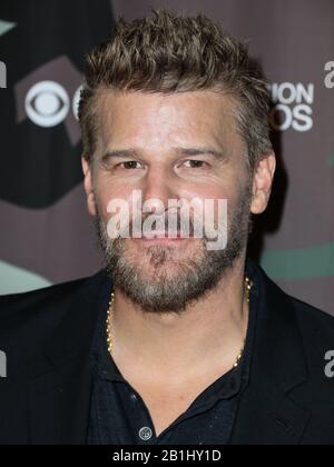 Hollywood, Vereinigte Staaten. Februar 2020. Hollywood, LOS ANGELES, KALIFORNIEN, USA - 25. FEBRUAR: Schauspieler David Boreanaz kommt am 25. Februar 2020 in der Los Angeles Premiere Des 'SEAL Team' der CBS Television Studios in ArcLight Cinemas Hollywood in Hollywood, Los Angeles, Kalifornien, USA. (Foto von Xavier Collin/Image Press Agency) Credit: Image Press Agency/Alamy Live News Stockfoto