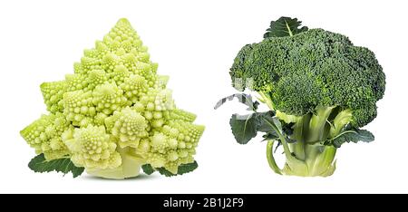 Römische Blumenkohl und Brokkoli isoliert auf weißem Grund mit Beschneidungspfad Stockfoto