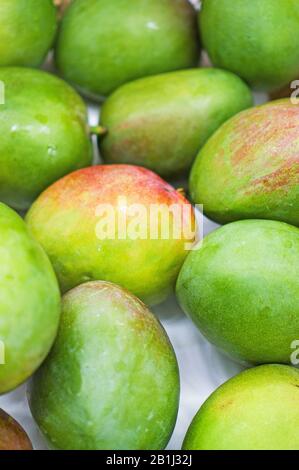 Nahaufnahme von organischen Mangos im Supermarkt. Stockfoto