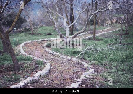 Ein verwinkelter und uralter Weg innerhalb des Sataf-Reservats, einer alten landwirtschaftlichen Stätte mit traditionellen Methoden. Vegetation und Bäume auf einem Wanderweg, Stockfoto