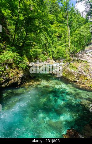 Landschaft in der Vintgar-Schlucht (Soteska Vintgar) in der Nähe der Stadt Bled in Slowenien. Sie ist vom Fluss Radovna eingeritzt und stellt die Fortsetzung des Radovna Tals dar. Stockfoto