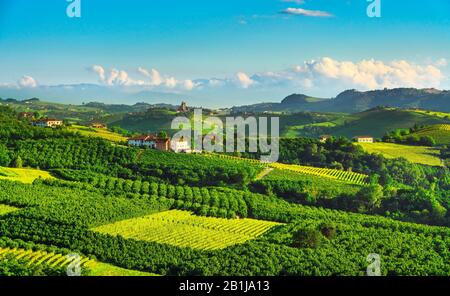 Langhe Weinberge und Haselbaumanbau, Serralunga d Alba, Unesco-Stätte, Piemont, Norditalien Europa. Stockfoto