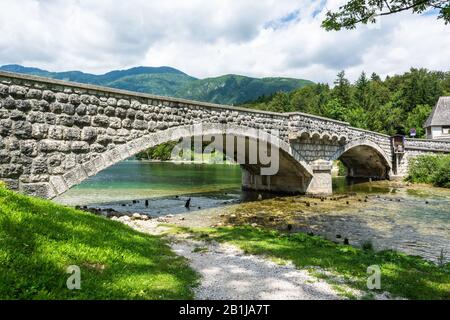 Brücke über den Fluss Sava Bohinjka in Slowenien an der Stelle, an der er im Sommer den Bohinjer See in Ribcev Laz erreicht. Stockfoto