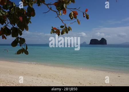 Koh Ngai Island (Koh Hai) Ostrand in der Nähe von Koh Lanta in der Provinz Krabi in Thailand mit weißem Strand, blauem türkisfarbenem Meer, Ästen eines Baumes Stockfoto