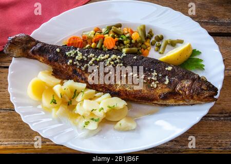 Platte aus Bohinj-Forellen mit gekochten Kartoffeln und Salat in Slowenien. Stockfoto