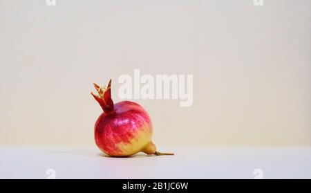 Rote und gelbe Zwerggranatfrucht auf beigefarbenem Grund Stockfoto