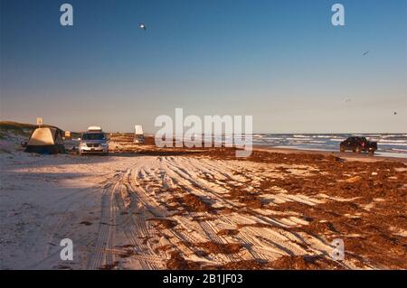 Camping am Strand, bedeckt mit Algen, Golf von Mexiko, Mustang Island State Park, Golfküste, Texas, USA Stockfoto