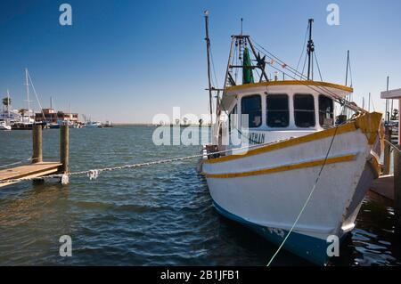 Garnelenboot im Hafen, Aransas Bay, Golf von Mexiko, Rockport, Golfküste, Texas, USA Stockfoto