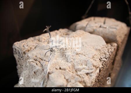 Ein Stacheldraht auf einem weißen Backstein Stockfoto