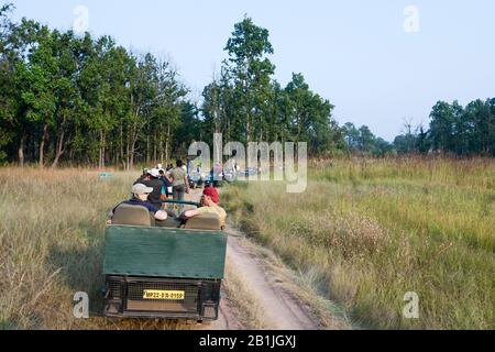 Jeeps mit Touristen und ihren Führern, die auf Tigers am überfüllten Ort in Bandhavgarh, indien während einer Tigersafari, Indien, Madhya Pradesh, Bandhavgarh National Park warten Stockfoto