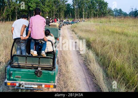 Jeeps mit Touristen und ihren Führern, die auf Tigers am überfüllten Ort in Bandhavgarh, indien während einer Tigersafari, Indien, Madhya Pradesh, Bandhavgarh National Park warten Stockfoto