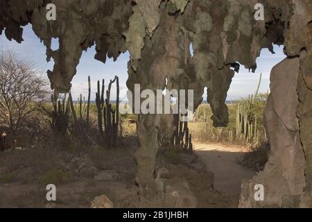 Tropfstein in der Hato-Höhle, Niederländische Antillen, Curacao, Hato Stockfoto